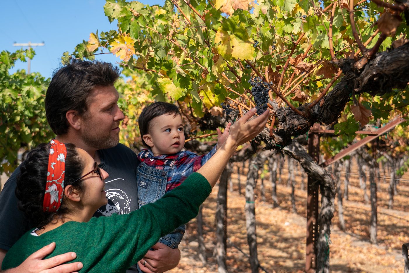 Family portrait in vineyard